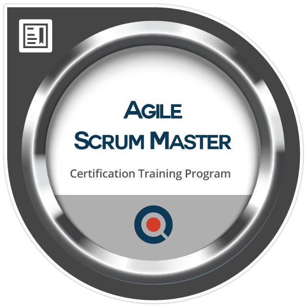 Agile scrum master
