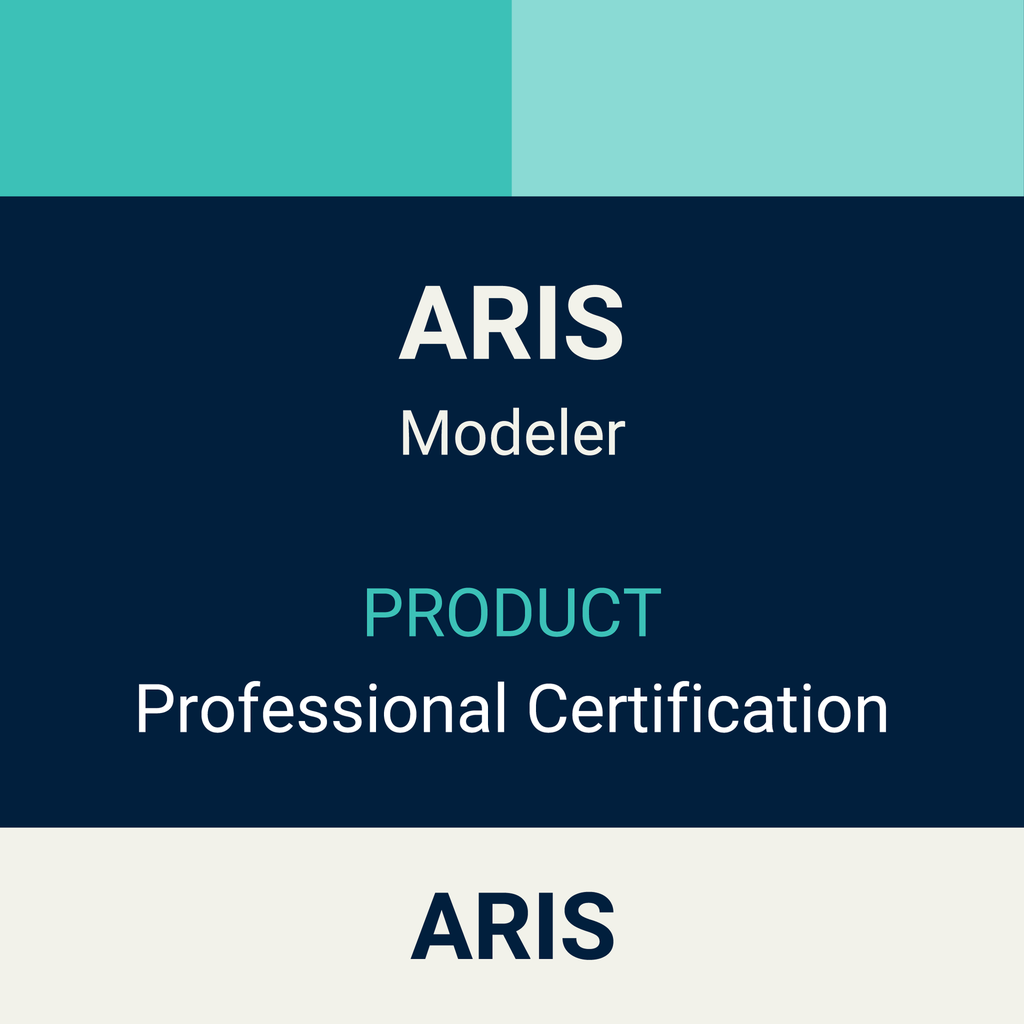ARIS Modeler Professional
